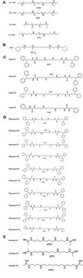 Novel Synthetic Polyamines Have Potent Antimalarial Activities in vitro and in vivo by Decreasing Intracellular Spermidine and Spermine Concentrations